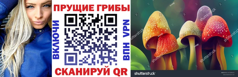 Галлюциногенные грибы прущие грибы  Малая Вишера 