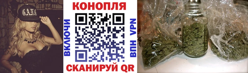 Конопля сатива  Малая Вишера 